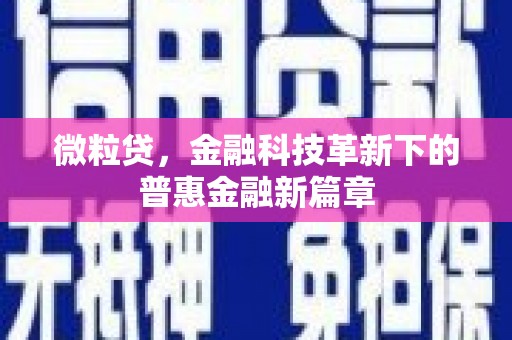 秦淮微粒贷，金融科技革新下的普惠金融新篇章