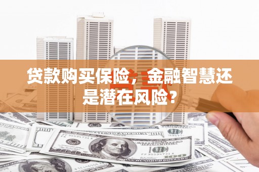 秦淮贷款购买保险，金融智慧还是潜在风险？