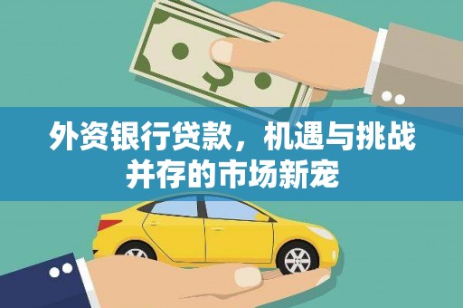 秦淮外资银行贷款，机遇与挑战并存的市场新宠