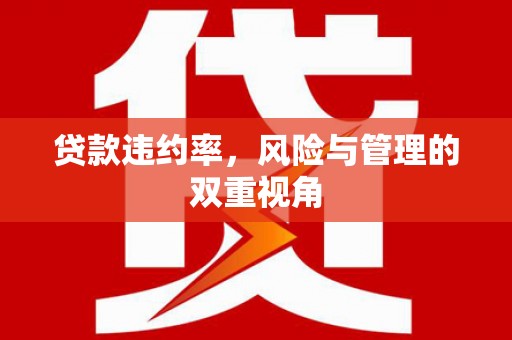 秦淮贷款违约率，风险与管理的双重视角