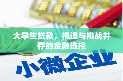 秦淮大学生贷款，机遇与挑战并存的金融选择