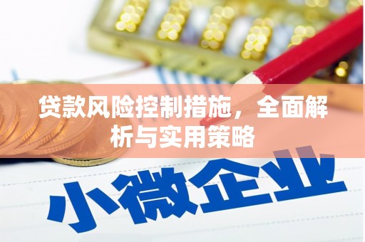 秦淮贷款风险控制措施，全面解析与实用策略