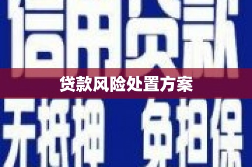 秦淮贷款风险处置方案