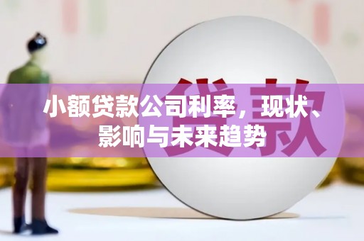秦淮小额贷款公司利率，现状、影响与未来趋势