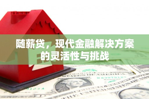 秦淮随薪贷，现代金融解决方案的灵活性与挑战