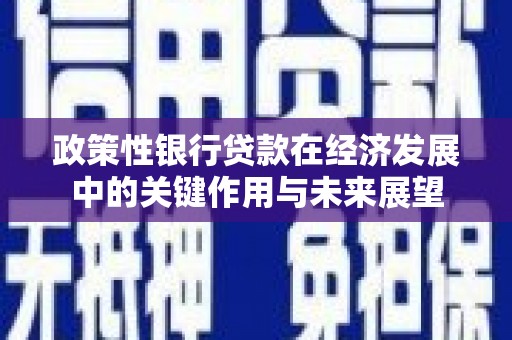 秦淮政策性银行贷款在经济发展中的关键作用与未来展望