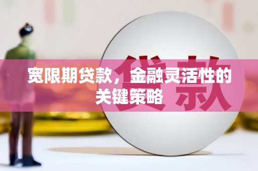 秦淮宽限期贷款，金融灵活性的关键策略