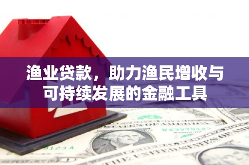 秦淮渔业贷款，助力渔民增收与可持续发展的金融工具