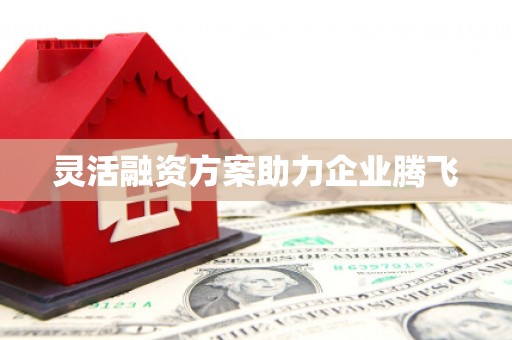 秦淮灵活融资方案助力企业腾飞