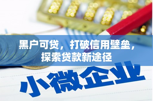 秦淮黑户可贷，打破信用壁垒，探索贷款新途径