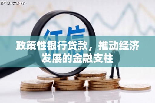 秦淮政策性银行贷款，推动经济发展的金融支柱