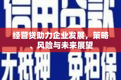 秦淮经营贷助力企业发展，策略、风险与未来展望