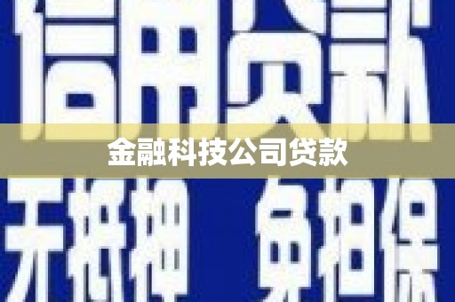 秦淮金融科技公司贷款