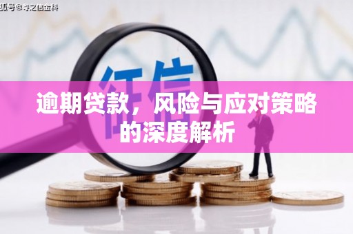 秦淮逾期贷款，风险与应对策略的深度解析