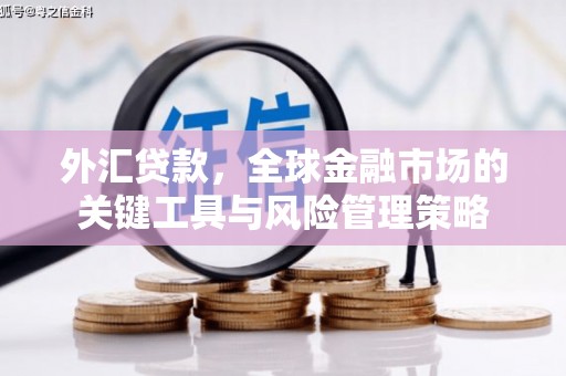 秦淮外汇贷款，全球金融市场的关键工具与风险管理策略