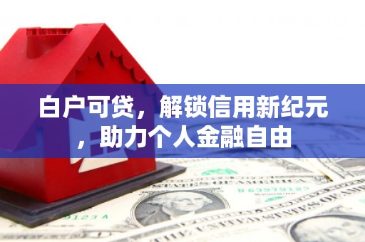 秦淮白户可贷，解锁信用新纪元，助力个人金融自由