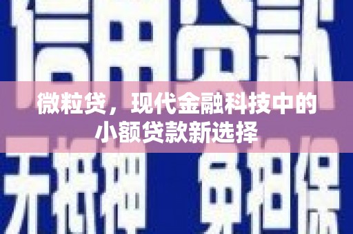 秦淮微粒贷，现代金融科技中的小额贷款新选择