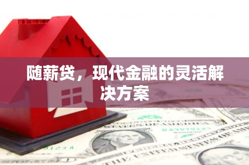 秦淮随薪贷，现代金融的灵活解决方案