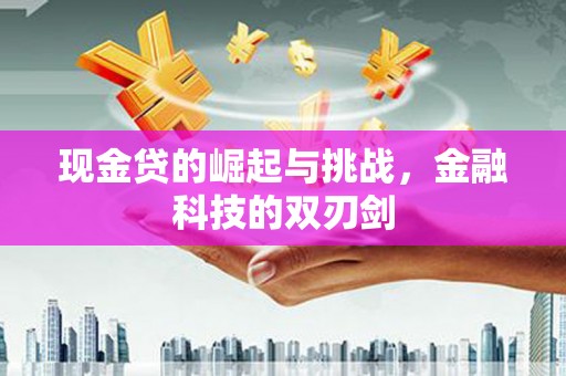 秦淮现金贷的崛起与挑战，金融科技的双刃剑