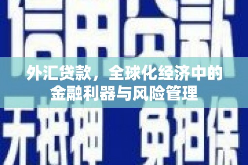 秦淮外汇贷款，全球化经济中的金融利器与风险管理