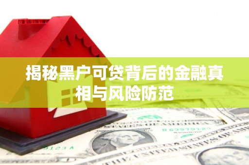 秦淮揭秘黑户可贷背后的金融真相与风险防范