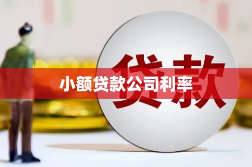 秦淮小额贷款公司利率