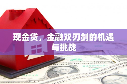 秦淮现金贷，金融双刃剑的机遇与挑战