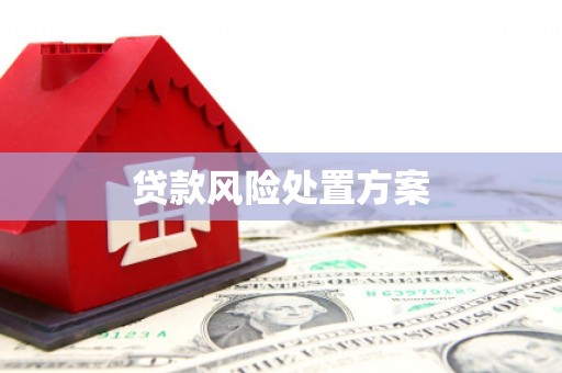 秦淮贷款风险处置方案