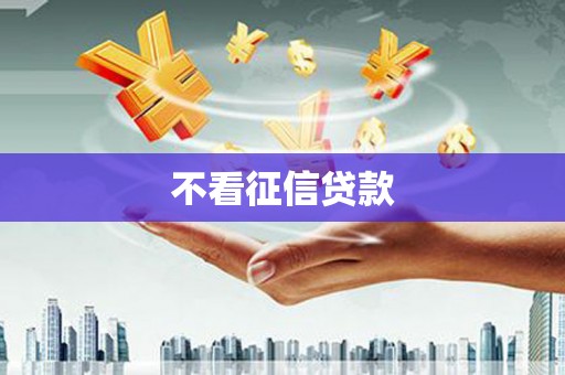 秦淮不看征信贷款