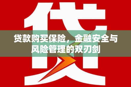 秦淮贷款购买保险，金融安全与风险管理的双刃剑