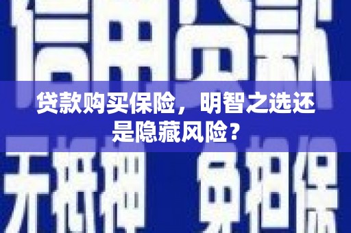 秦淮贷款购买保险，明智之选还是隐藏风险？