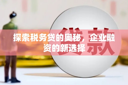 秦淮探索税务贷的奥秘，企业融资的新选择