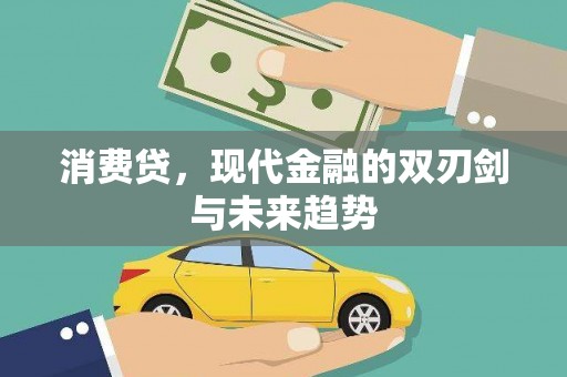 秦淮消费贷，现代金融的双刃剑与未来趋势