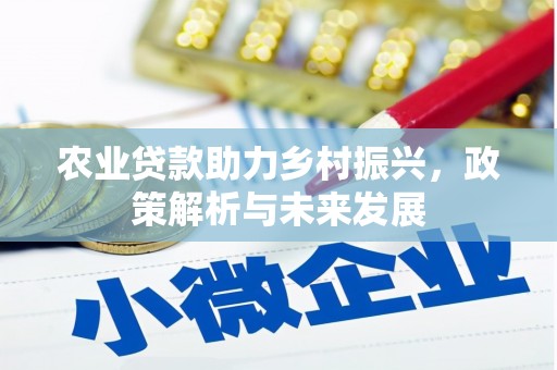 秦淮农业贷款助力乡村振兴，政策解析与未来发展