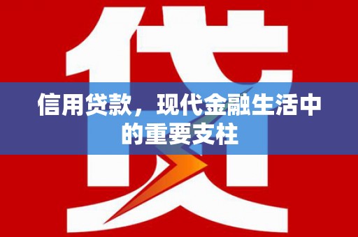 秦淮信用贷款，现代金融生活中的重要支柱