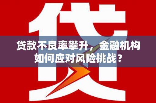 秦淮贷款不良率攀升，金融机构如何应对风险挑战？