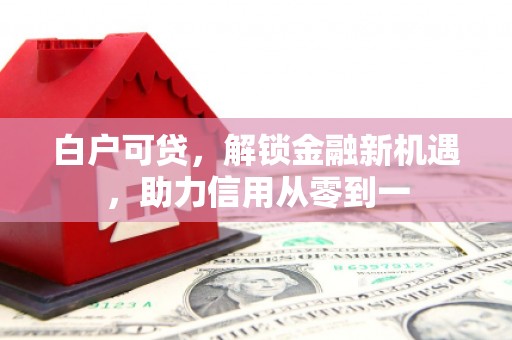 秦淮白户可贷，解锁金融新机遇，助力信用从零到一