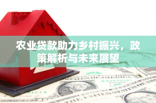 秦淮农业贷款助力乡村振兴，政策解析与未来展望