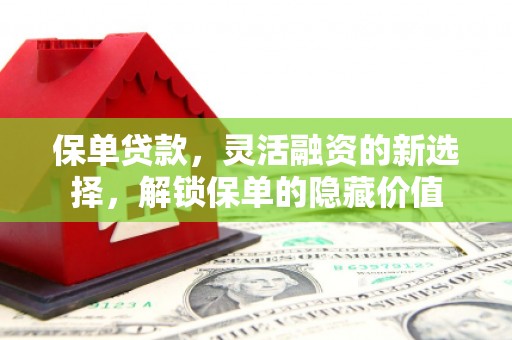 秦淮保单贷款，灵活融资的新选择，解锁保单的隐藏价值