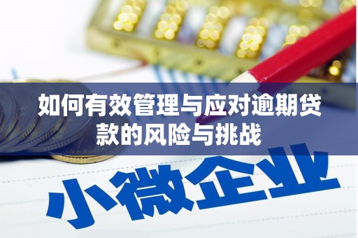秦淮如何有效管理与应对逾期贷款的风险与挑战