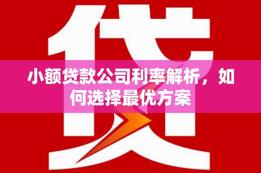 秦淮小额贷款公司利率解析，如何选择最优方案