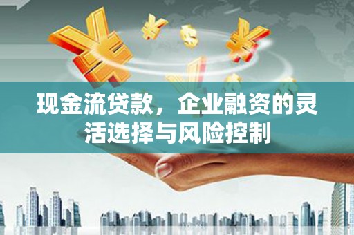 秦淮现金流贷款，企业融资的灵活选择与风险控制