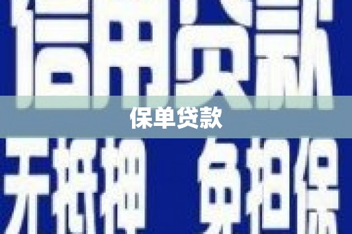 秦淮保单贷款