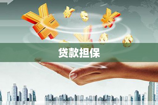 秦淮贷款担保