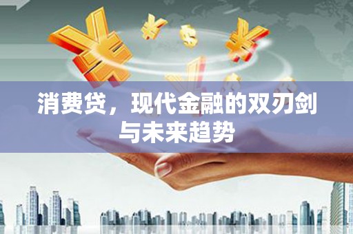 秦淮消费贷，现代金融的双刃剑与未来趋势
