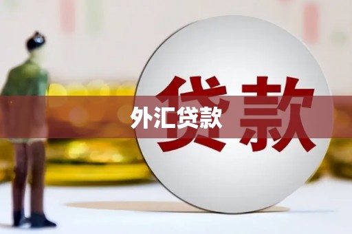秦淮外汇贷款