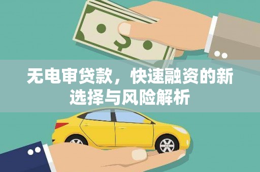 秦淮无电审贷款，快速融资的新选择与风险解析