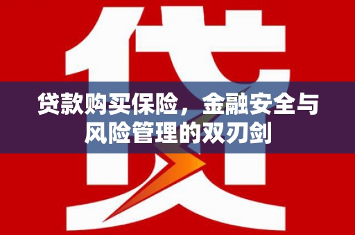 秦淮贷款购买保险，金融安全与风险管理的双刃剑