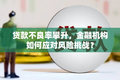 秦淮贷款不良率攀升，金融机构如何应对风险挑战？