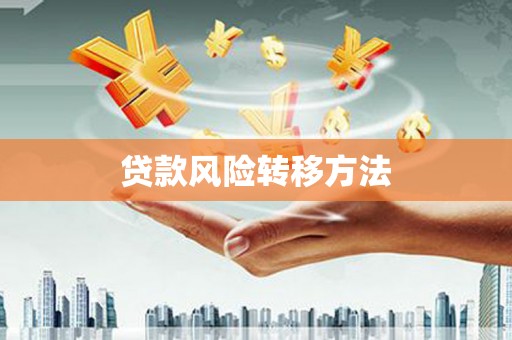 秦淮贷款风险转移方法